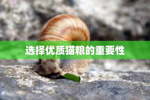 選擇優質貓糧的重要性
