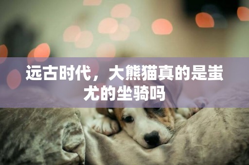 遠古時代，大熊貓真的是蚩尤的坐騎嗎
