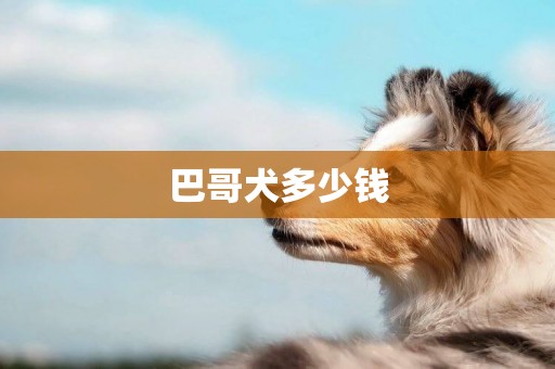 巴哥犬多少錢