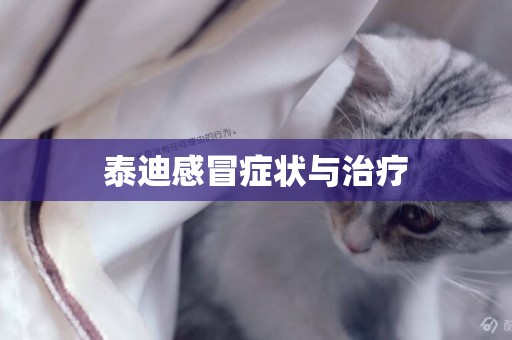 泰迪感冒癥狀與治療