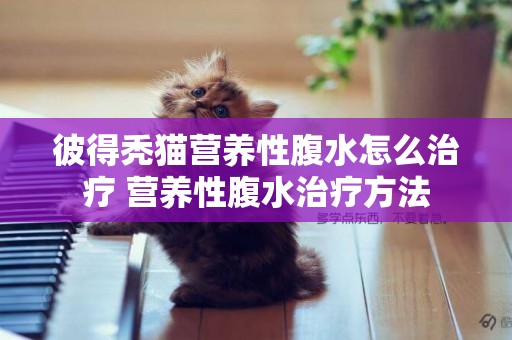 彼得禿貓營養性腹水怎么治療 營養性腹水治療方法