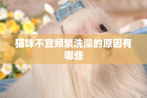 貓咪不宜頻繁洗澡的原因有哪些