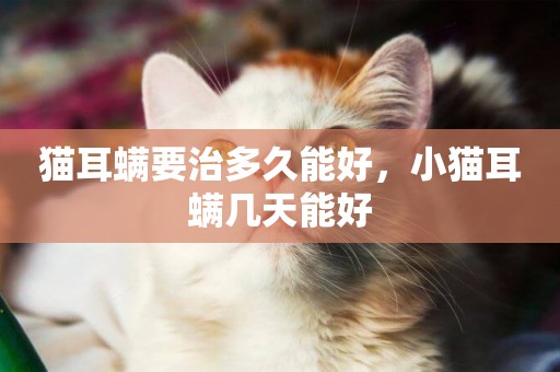 貓耳螨要治多久能好，小貓耳螨幾天能好