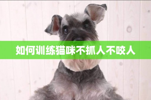 如何訓練貓咪不抓人不咬人