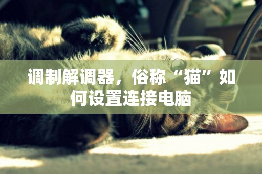 調制解調器，俗稱“貓”如何設置連接電腦