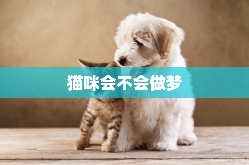 貓咪會不會做夢