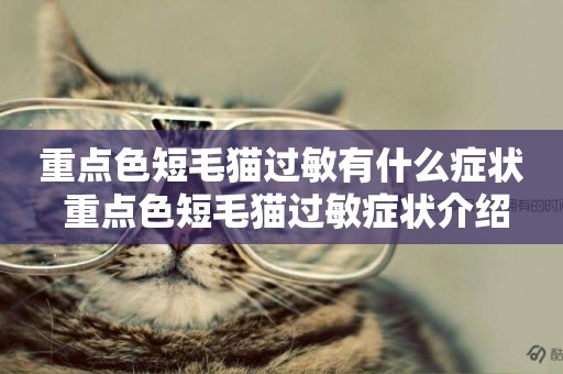 重點色短毛貓過敏有什么癥狀 重點色短毛貓過敏癥狀介紹