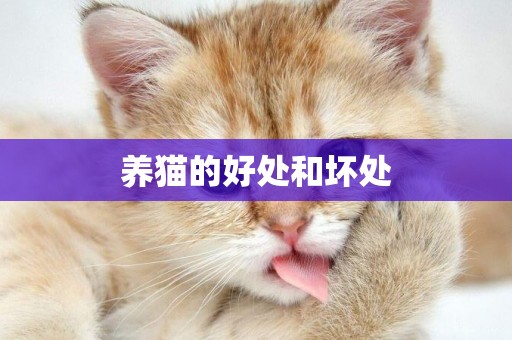 養貓的好處和壞處