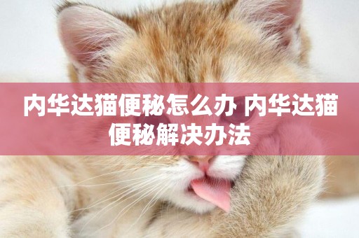 內華達貓便秘怎么辦 內華達貓便秘解決辦法