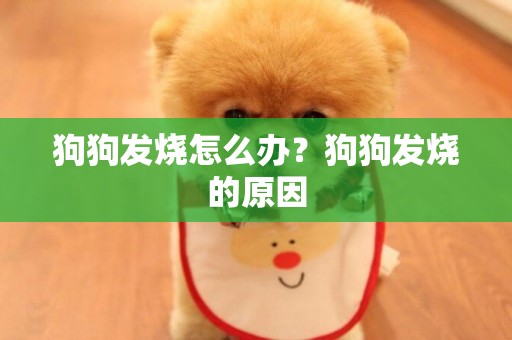 狗狗發燒怎么辦？狗狗發燒的原因