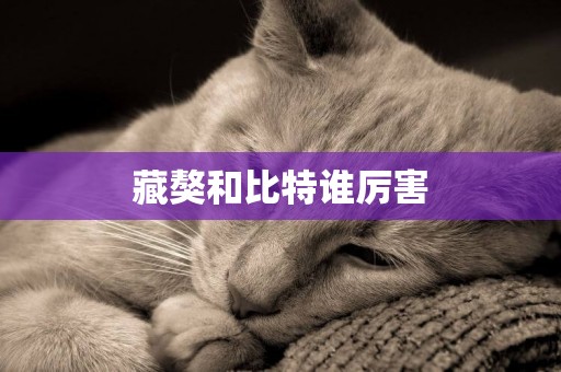 藏獒和比特誰厲害