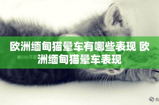 歐洲緬甸貓暈車有哪些表現 歐洲緬甸貓暈車表現