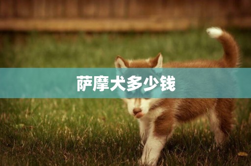 薩摩犬多少錢