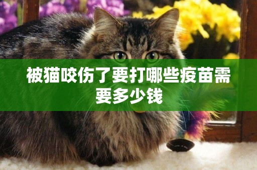被貓咬傷了要打哪些疫苗需要多少錢