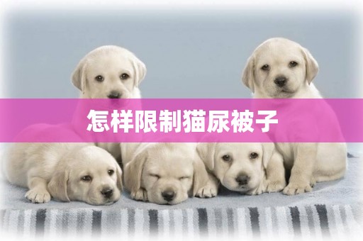 怎樣限制貓尿被子