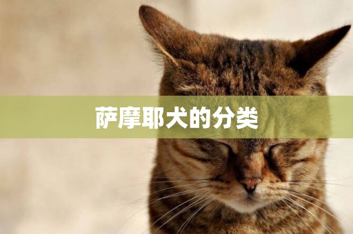 薩摩耶犬的分類