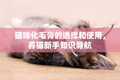 貓咪化毛膏的選擇和使用，養貓新手知識導航
