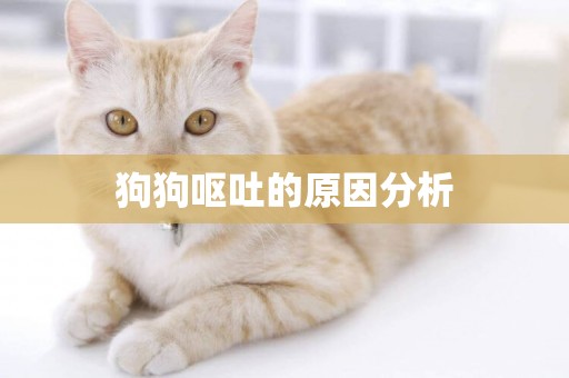 狗狗嘔吐的原因分析