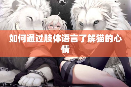 如何通過肢體語言了解貓的心情