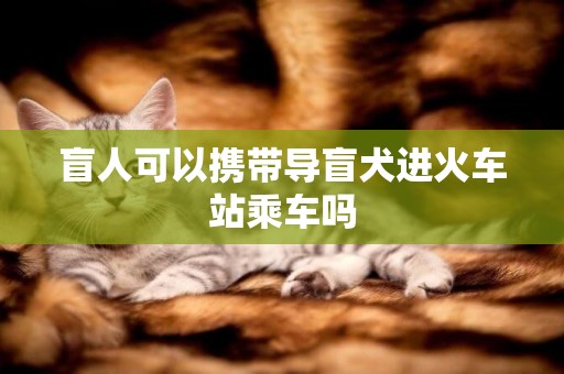 盲人可以攜帶導盲犬進火車站乘車嗎