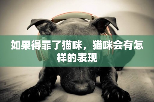 如果得罪了貓咪，貓咪會有怎樣的表現