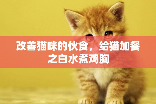 改善貓咪的伙食，給貓加餐之白水煮雞胸