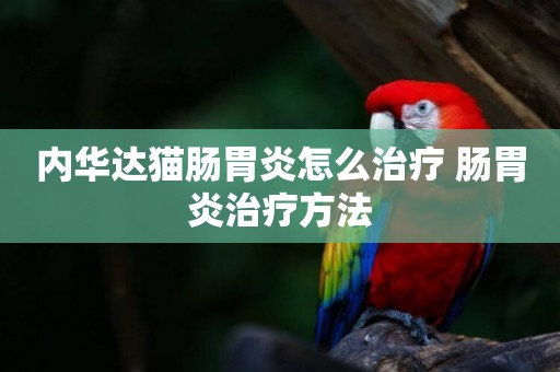 內華達貓腸胃炎怎么治療 腸胃炎治療方法