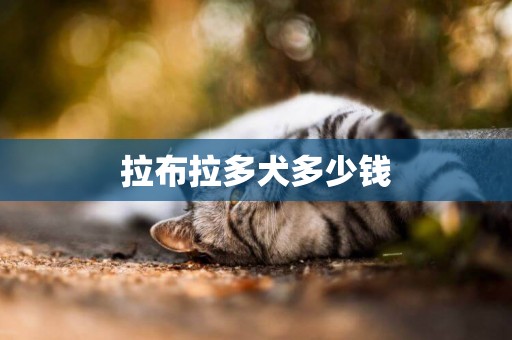 拉布拉多犬多少錢