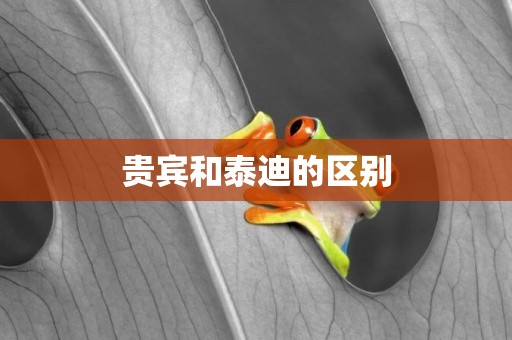 貴賓和泰迪的區別