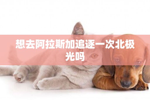 想去阿拉斯加追逐一次北極光嗎