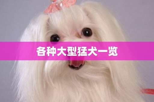 各種大型猛犬一覽