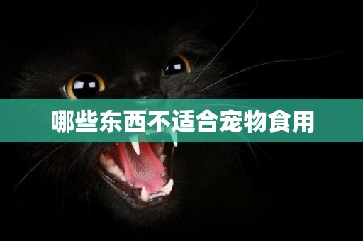 哪些東西不適合寵物食用