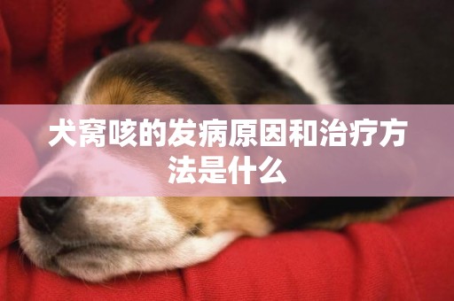 犬窩咳的發病原因和治療方法是什么