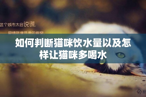 如何判斷貓咪飲水量以及怎樣讓貓咪多喝水