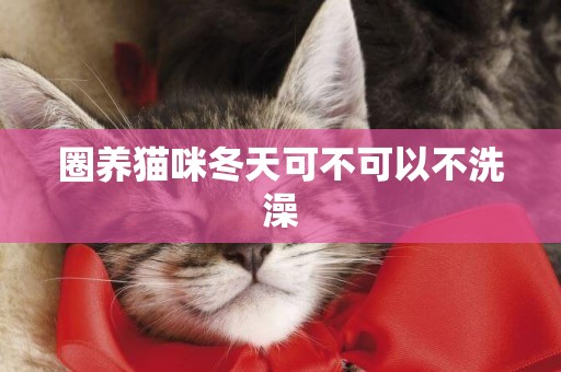圈養貓咪冬天可不可以不洗澡