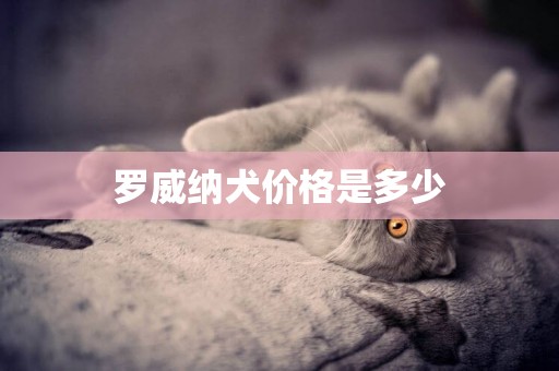 羅威納犬價格是多少