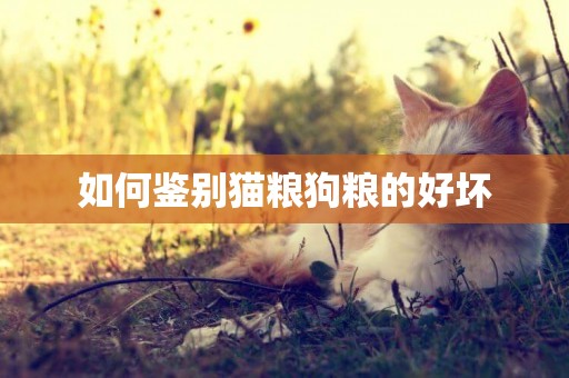 如何鑒別貓糧狗糧的好壞