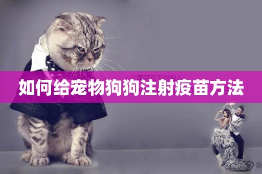 如何給寵物狗狗注射疫苗方法