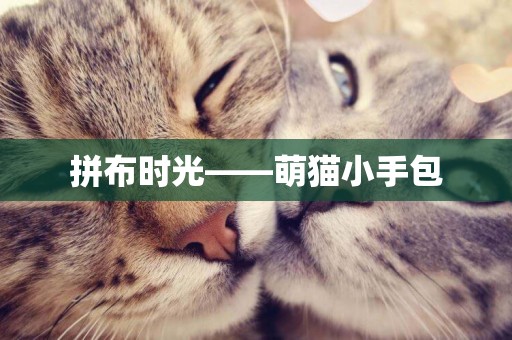 拼布時光——萌貓小手包