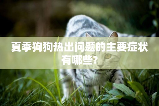 夏季狗狗熱出問題的主要癥狀有哪些?