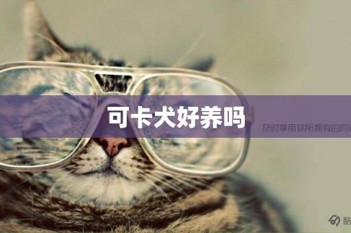 可卡犬好養嗎