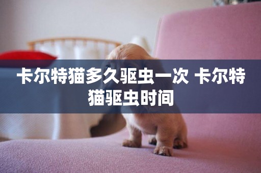 卡爾特貓多久驅蟲一次 卡爾特貓驅蟲時間
