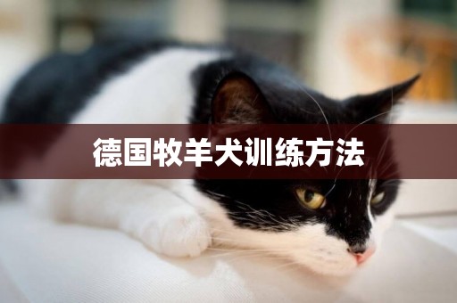 德國牧羊犬訓練方法