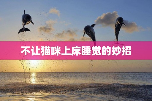 不讓貓咪上床睡覺的妙招