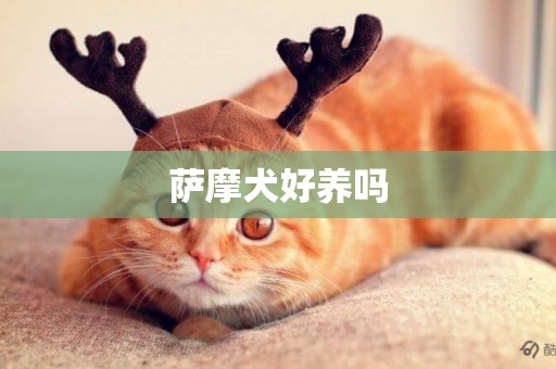 薩摩犬好養嗎