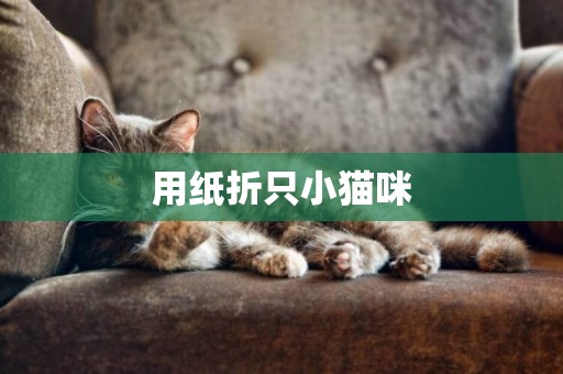 用紙折只小貓咪