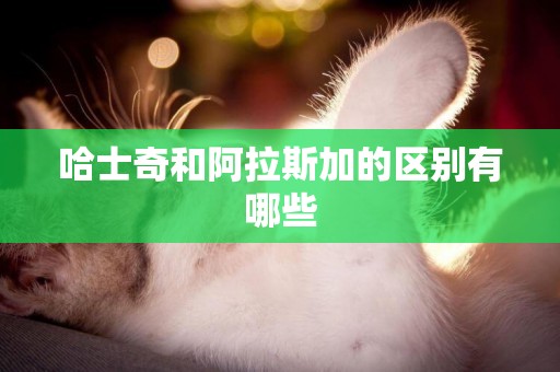 哈士奇和阿拉斯加的區別有哪些