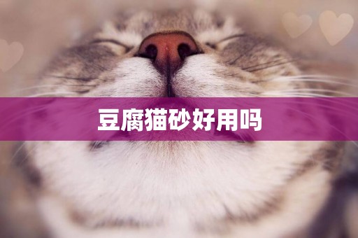 豆腐貓砂好用嗎
