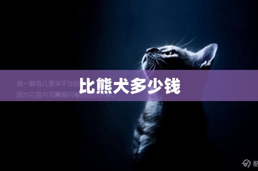 比熊犬多少錢