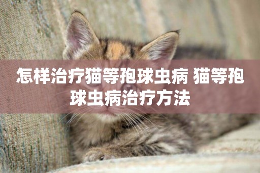 怎樣治療貓等孢球蟲病 貓等孢球蟲病治療方法